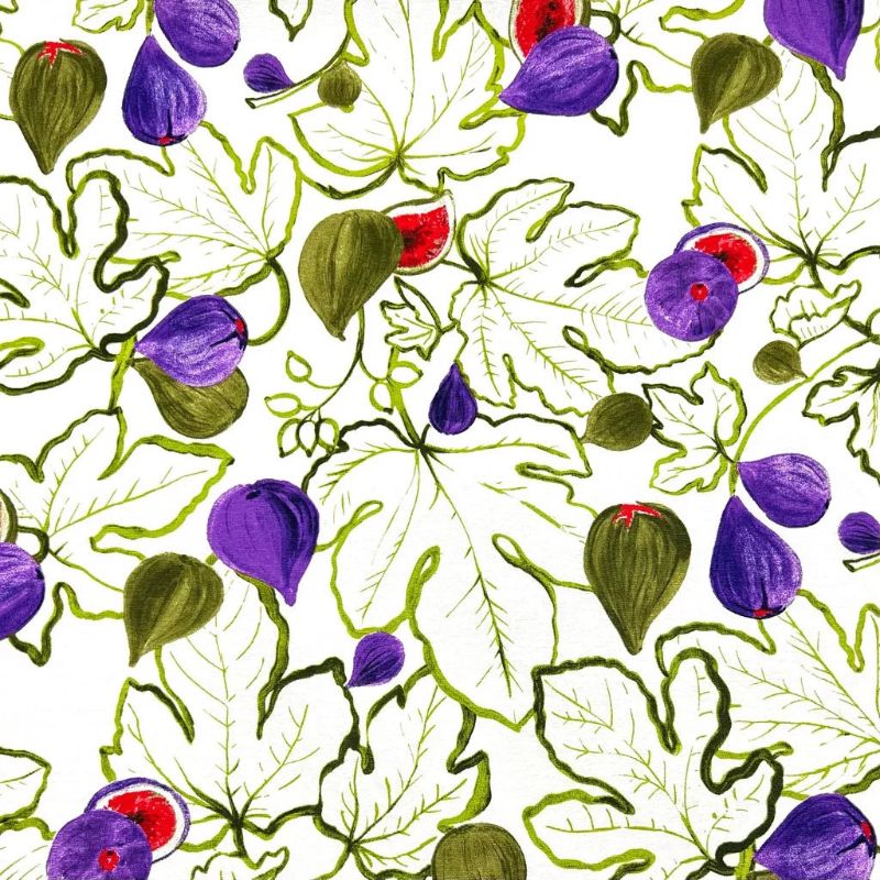Figs and Vines Water Resistant Fabric