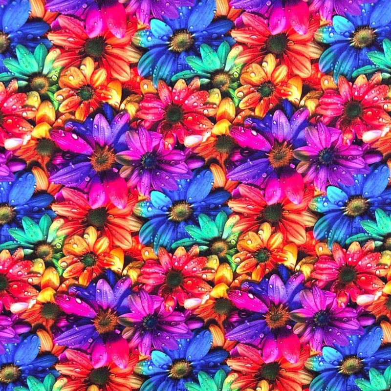 Rainbow Flora French Terry Fabric